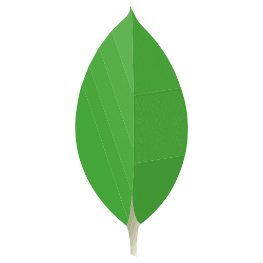 MongoDB Compass